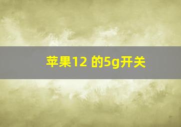 苹果12 的5g开关